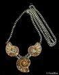 Triple Ammonite Necklace #2798-1
